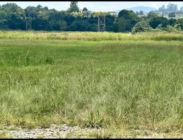 LAND FOR SALE IN GREENDALE